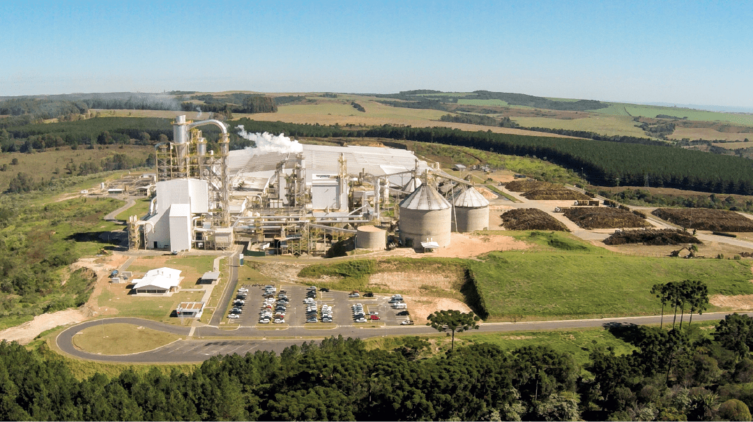 ARAUCO Scala Construtora